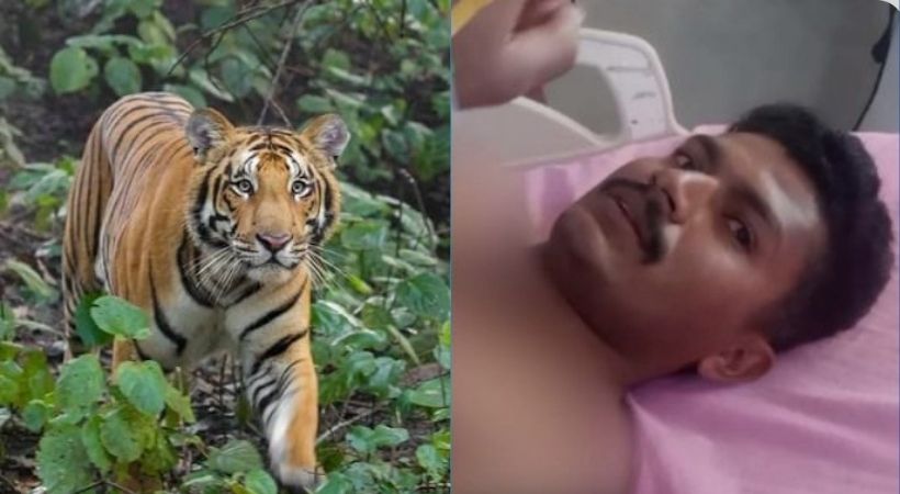 കടുവ ആക്രമിച്ചത് പുറകില്‍നിന്ന്; സംഭവം വിവരിച്ച് ജയസൂര്യ.