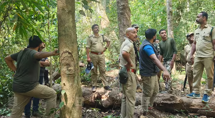 മാനന്തവാടിയില്‍ കടുവ ആക്രമണം; ആര്‍ആര്‍ടി അംഗം ജയസൂര്യയെ മാനന്തവാടി മെഡിക്കല്‍ കോളേജില്‍ പ്രവേശിപ്പിച്ചു.