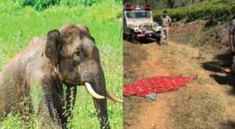 വയനാട്ടിൽ വീണ്ടും കാട്ടാന ആക്രമണം; 27കാരൻ കൊല്ലപ്പെട്ടു