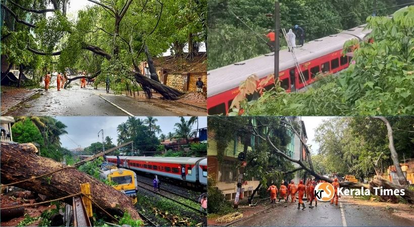 കാറ്റ് വീശി; മരങ്ങൾ വീണു, നാശം വ്യാപകം