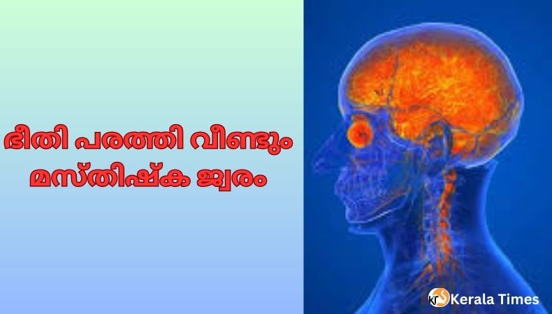 അമീബിക് മസ്തിഷ്‌ക ജ്വരം: സംസ്ഥാനത്ത് രണ്ടുപേരുടെ കൂടി മരണം; ആകെ 19 പേർ മരിച്ചു